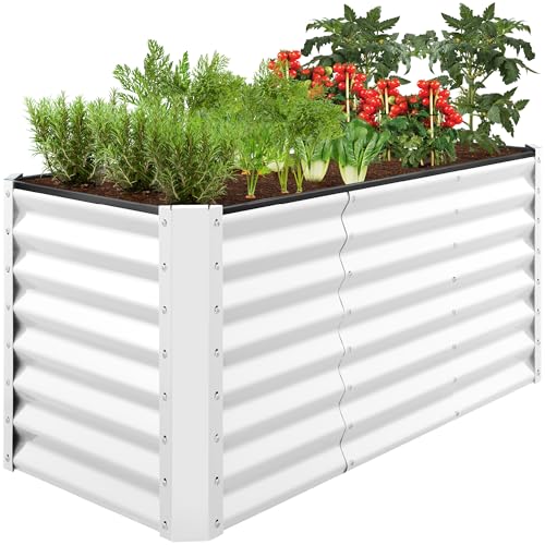 Best Choice 4x2x2 ft Raised Bed