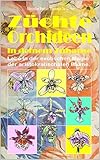  Züchte Orchideen in deinem Zuhause: Lebe in der exotischen Magie der aristokratischsten Blume.