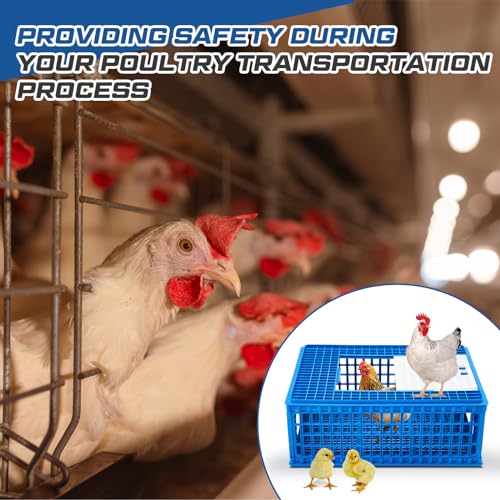 Image of GlikCeil 2 Pcs Poultry Duck Carrier Crate 3 Door Chicken Transport Cage Plastic Poultry Carrier Basket Box for Chicken Duck Goose Birds, 29.53 x 21.65 x 11.42 Inch(Blue)