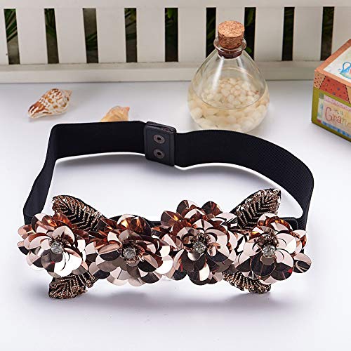 Sparking Rhinestone Crystal Women's Elastic Wide Skinny Waist Stretch Belt for Dress2