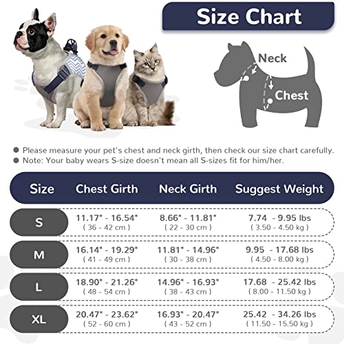 Hrttsy Small Dog Harness And Leash Set Soft Mesh Puppy Harness Cute Fashion Reflective Adjustable No Pull Cat Dog Vest Harness For Small Medium Dogs Cats Pug Yorkie Harness (Gray,S) #TOP5