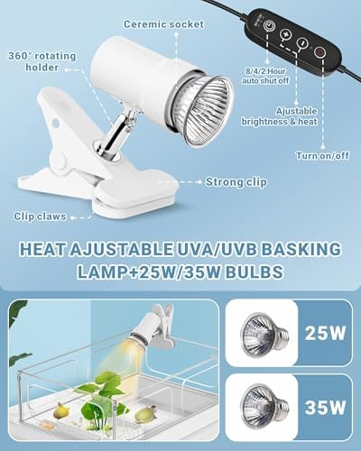 GOZILLA Small Turtle Tank(Tank+Lamp+Filter), Acrylic Turtle Starter Kit with Adjustable Lamp, Reptile Habitat and Terrarium with Multi-Functional Areas for Small Reptiles. (White Kit) - 5