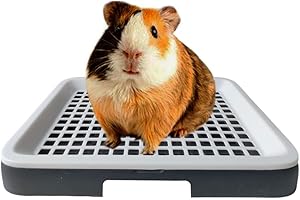 Guinea Pig Litter Tray Pan with Grate | Rat Litter Box for Cage