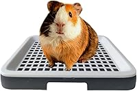Oncpcare Guinea Pig Litter Tray with Grate - Easy Clean Potty Box for Rats Chinchillas - Space-Saving 9.8x7.6in Design