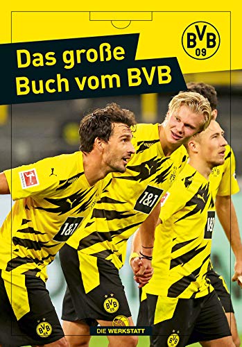 Télécharger Das große Buch vom BVB livre En ligne