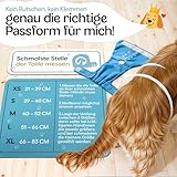 HUND IST KÖNIG Hundewindeln für Hündinnen (3 Stück) - Hochabsorbierende Läufigkeitshose für Hündinnen mit 3-Fach Justierung - Umweltfreundliche Hunde Windeln, Hundehöschen Läufigkeit & Inkontinenz