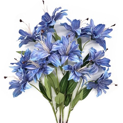 CATTREE Blue Stargazer Lily