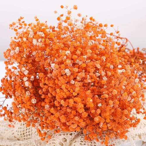 Ramo de flores secas Babys Breath 17 pulgadas naranja