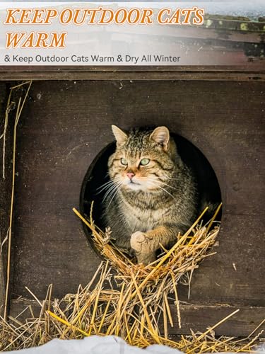 Natural Straw Bale for Cat Shelter – 8"x8"x8" (1.6 LB) Soft & Dry Straw Bedding for Cats, Feral Cats & Small Animals | Decorative Hay Bale for Outdoor Use, Farm Décor, Mulch & Pet Bedding - Image 7