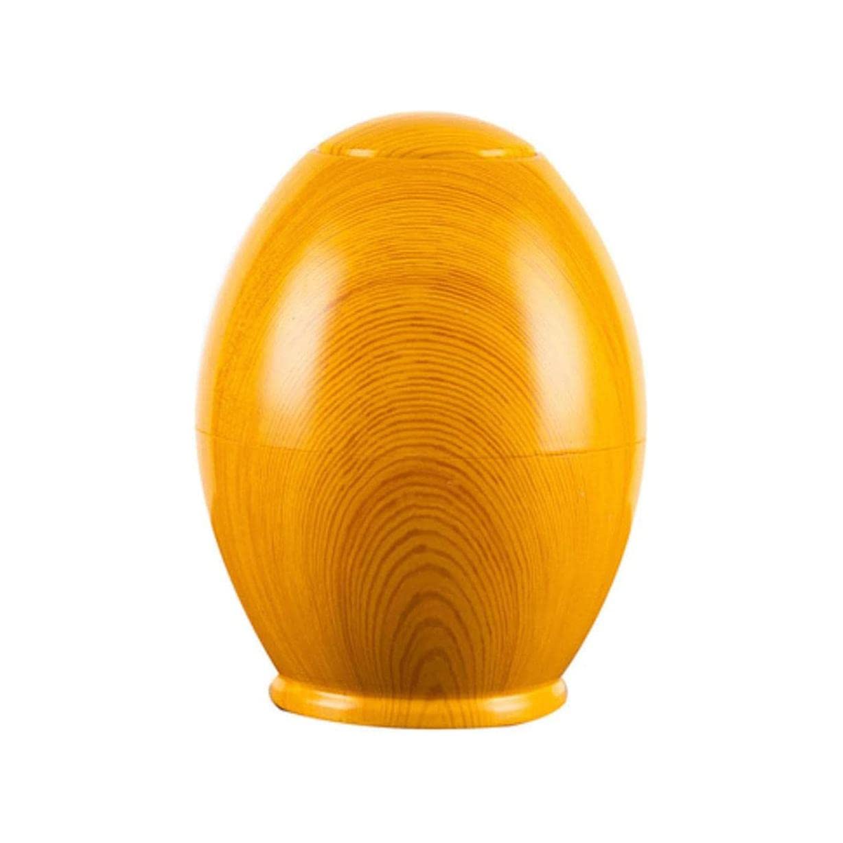 MRKU Toothpicks Dispenser Toothpick Box Holder Fashion Automatic Plastic creative press type container Home hotel restaurant cafe Chic