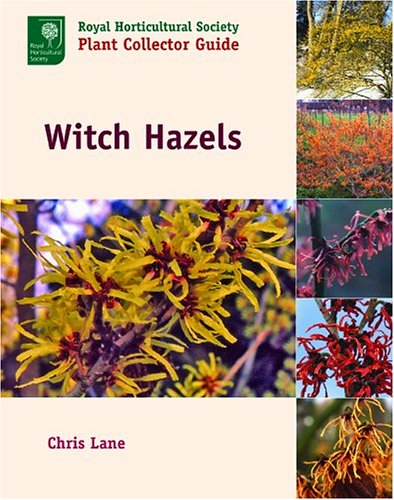 Witch Hazels (ROYAL HORTICULTURAL SOCIETY PLANT COLLECTOR GUIDE) Witch Hazels (ROYAL HORTICULTURAL SOCIETY PLANT COLLECTOR GUIDE)