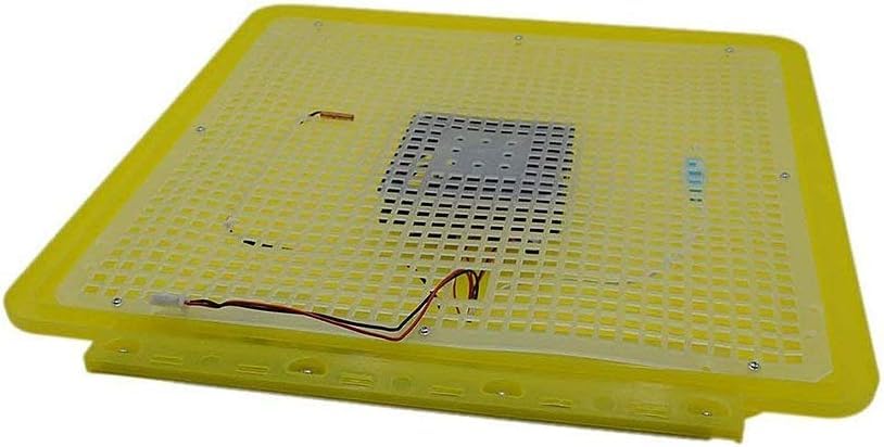 Incubatori Incubatrice Digitale Completamente Automatica for 48 Uova di Gallina, Oca e Anatre, con Controllo Intelligente della Temperatura.(Dual Power Supply)