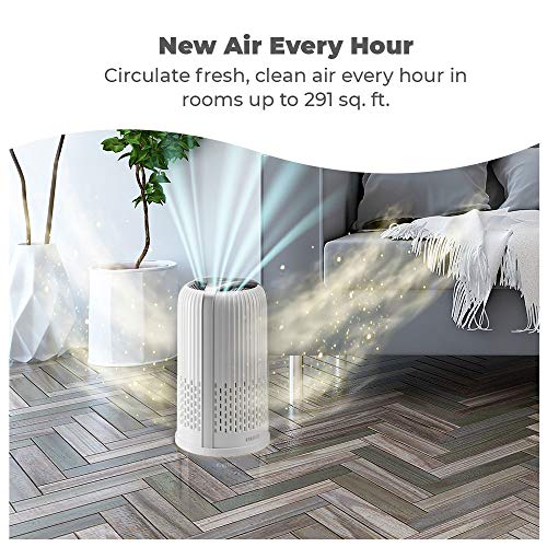 HoMedics Purificateur d’Air Filtres HEPA et Charbon Compact, Assainisseur d'air Portable pour purifier l'air de la maison, des odeurs et des bactéries Mode Nuit silencieux, Option Aromathérapie – Image 4