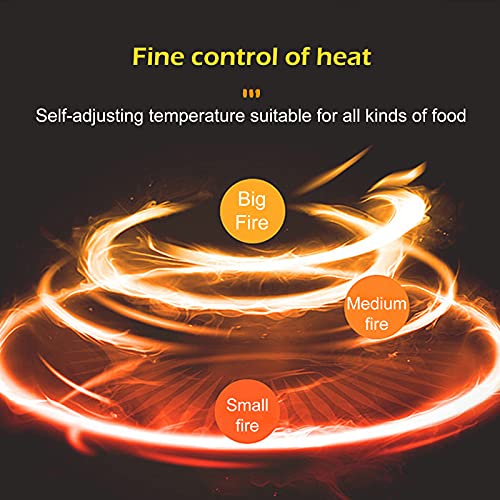 Kommerzielle Gasfritteuse mit großem Fassungsvermögen, Edelstahl-Fritteuse mit herausnehmbaren Körben und Gewürzwannen-Fritteusen, einstellbare Feuerkraft für Zuhause und Gewerbe – Bild 6