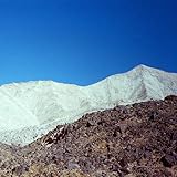  Chaparral