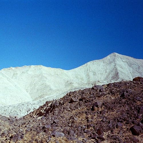  Chaparral