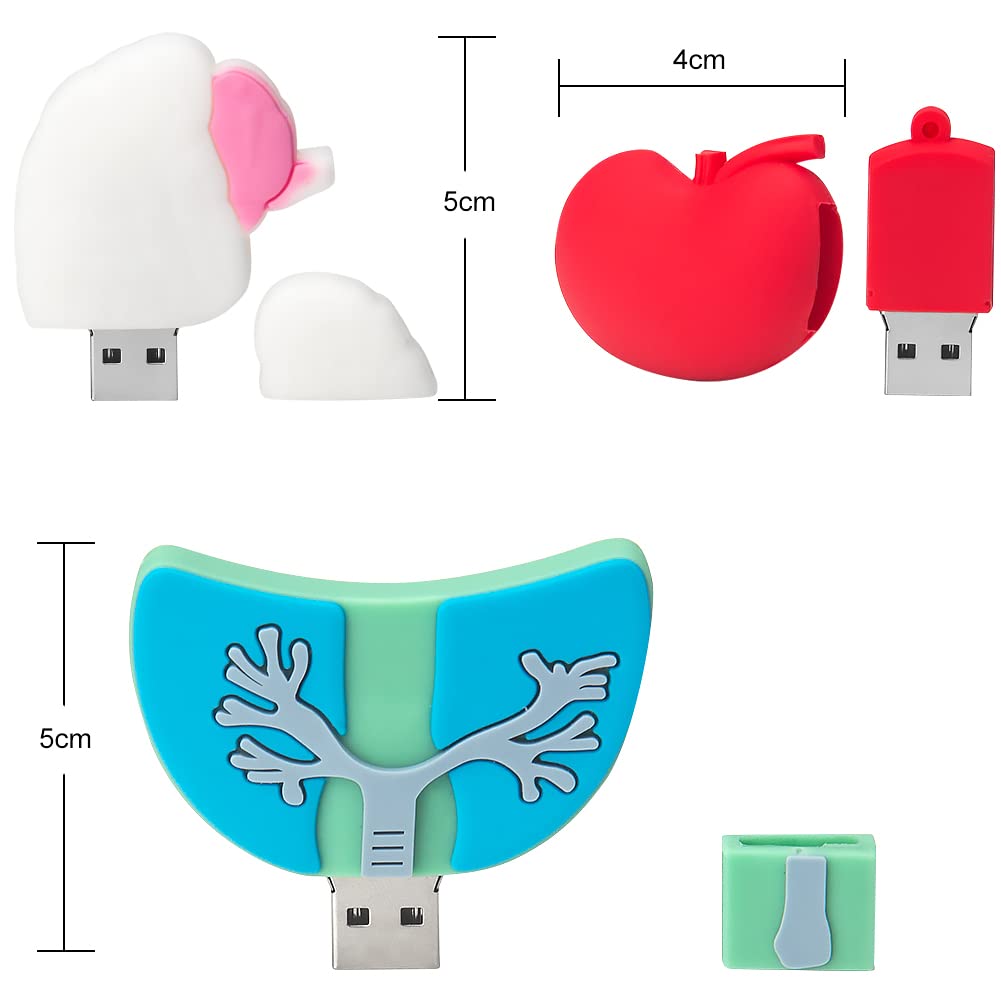 5 Pezzi 16GB USB Pen Drive Penna Usb Porta Chiavette Usb Chiave Usb Carino USB Organi Umani Regali per Bambino Amico (5 * 16GB,Organi Umani)