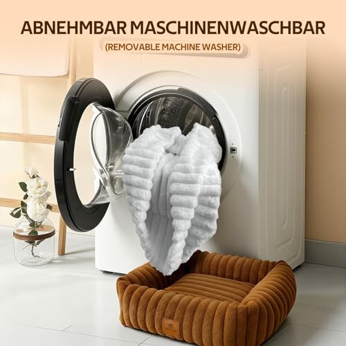 CareCooo Hundebett Kleine Hunde & Katzen Waschbar - Flauschiges Hundekörbchen mit Abnehmbarem Bezug - Rutschfestes Hundekissen & Welpenbett, Weiches Kunstfell, Rechteckig, Weiß, Größe S (50x48x15cm)