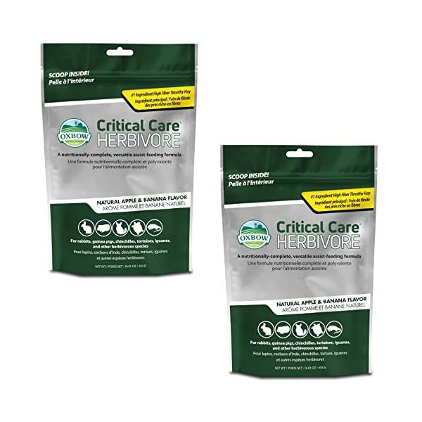 —OXBOW Critical Care Apple/Banana Pet Supplement, 454g —OXBOW Critical Care Apple/Banana Pet Supplement, 454g