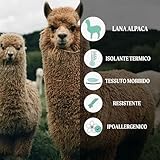 Zoom IMG-2 calzitaly pack 2 4 paia Zoom IMG-2 calzitaly pack 2 4 paia