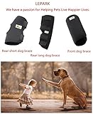 RockPet Gelenkbandage für das Vorderbein ihres Hundes (L/XL)