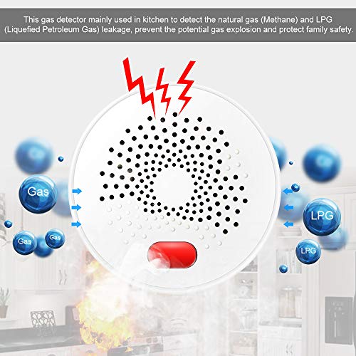 RuleaxAsi WIFI Detector de gás Detector de vazamento de gás combustível doméstico Detector de vazame