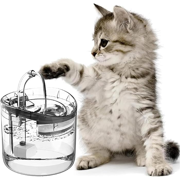 RtnSparsh Cat & Dog Water Fountain | 64oz/1.8L Automatic Pet Drinking Fountain with Quiet Pump, Transparent Bowl, Hygienic Water Dispenser for Cats, Dogs & Multiple Pets (B0DHLFLNM1) Amazon Price History, Amazon Price Tracker