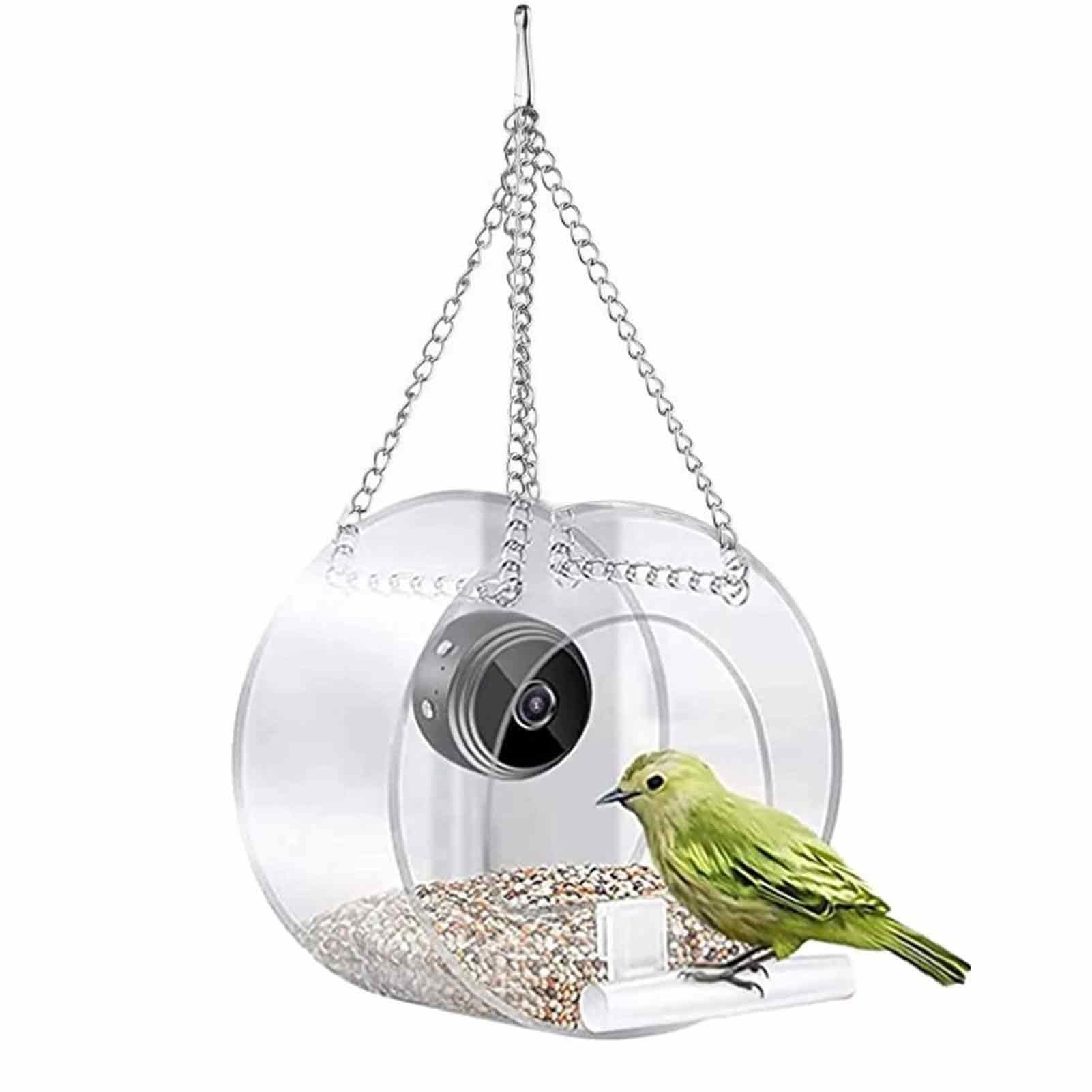 Mangiatoia Per Uccelli Con Telecamera 1080P - Guarda Gli Uccelli In Diretta Sul Telefono Con Visione Notturna - Foto 11