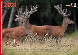 Glanzlichter Erzgebirge 2021: mit Texten + 12 Wandertipps für`s Wochenende + Gewinnspiel + Postkartenserie