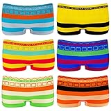 TEXEMP Damen Pantys Frauen Shortys Boxershorts Microfaser Hipster Hotpants Unterhose Slip Bunt (Lager 83, L-XL, 12er Pack)