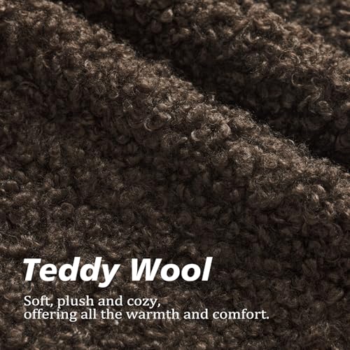 Image of Foindtower Set of 2 Curly Teddy Wool Pillow Covers Decorative Boucle Textured Lumbar Throw Pillow Faux Fur Sherpa Pillowcases Sheepskin Fuzzy Cushion Case for Sofa Bedroom Car 12 inchx20 inch Dark Brown