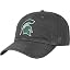 Michigan State