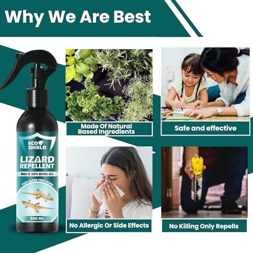 Image of EcoShield Lizard Repellent Spray For Home 200ml | 100% Natural & Effective Pest Control Spray | Blend Of Peppermint & Citronella Oil | Anti Lizard Spray For Home | Safe For Kids And Adults