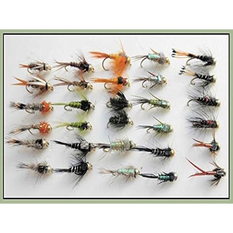 Gold Head Trout Flies, 30 Pack Mixed Goldhead Nymph, Mixed 10/12, Fly Fishing Cover