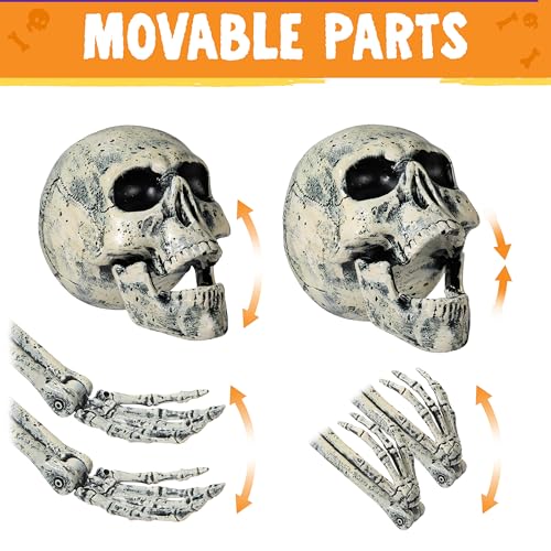 JOYIN 5 Pcs Halloween Skeleton Decorations Outdoor, Life Size Skeleton Yard Stakes, Groundbreaker Skulls Decor for Graveyard Yard Lawn Garden Ground Party Supplies by JOYIN - Image 4