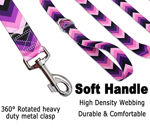 Mihqy Hundehalsband und Leine Set, Verstellbares, Weich & Komfort Nylon Hunde Halsband für Kleine Mittlere Große Hunde Welpen Katzen(Lila Pfeil Set,M)