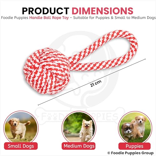 Image of Foodie Puppies Durable Cotton Rope Chew Toy for Dogs | Chewing, Fetching, Playing, Teething & Training for Small to Medium Dogs & Puppies (Color May Vary)