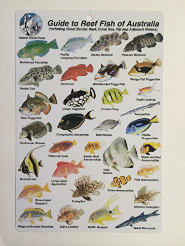 TRIDENT Reef Fish Australia & Fiji