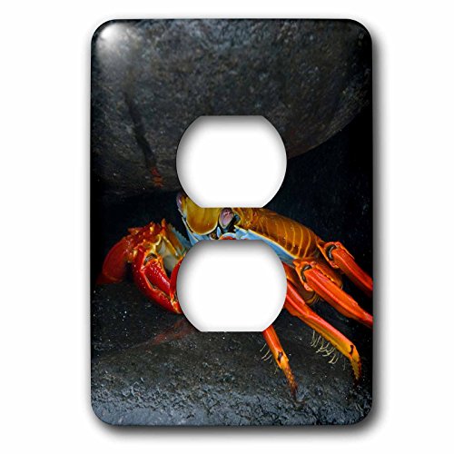 Plaque pour 2 prises Amérique du Sud 3dRose motif Équateur