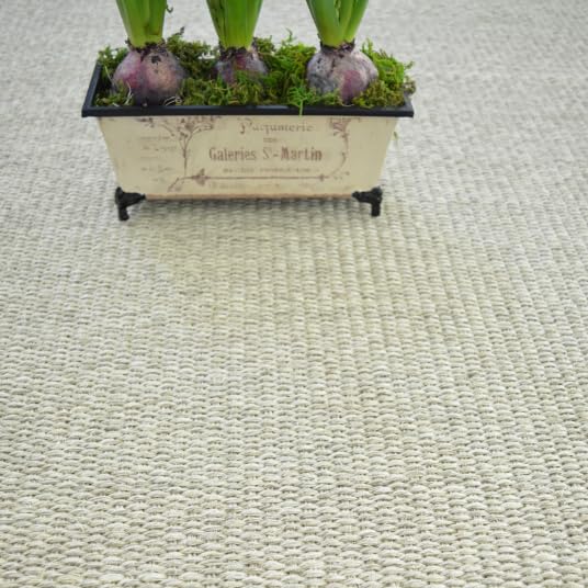 Decoweb Tapis Sisal Quintana Blanchi - Ganse Coton Noire - 160 x 230 cm