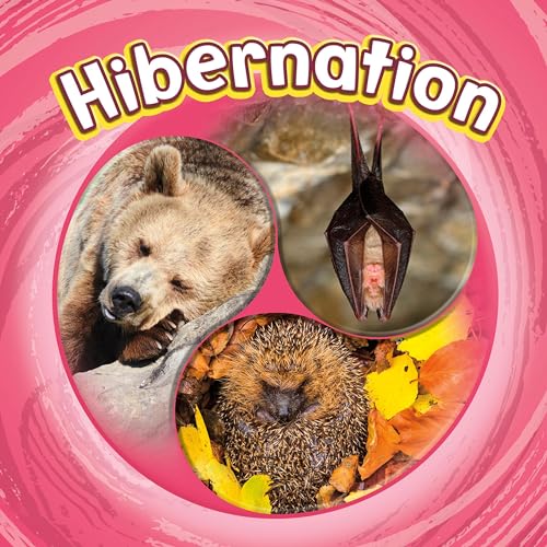 Hibernation by Jaclyn Jaycox episode artwork