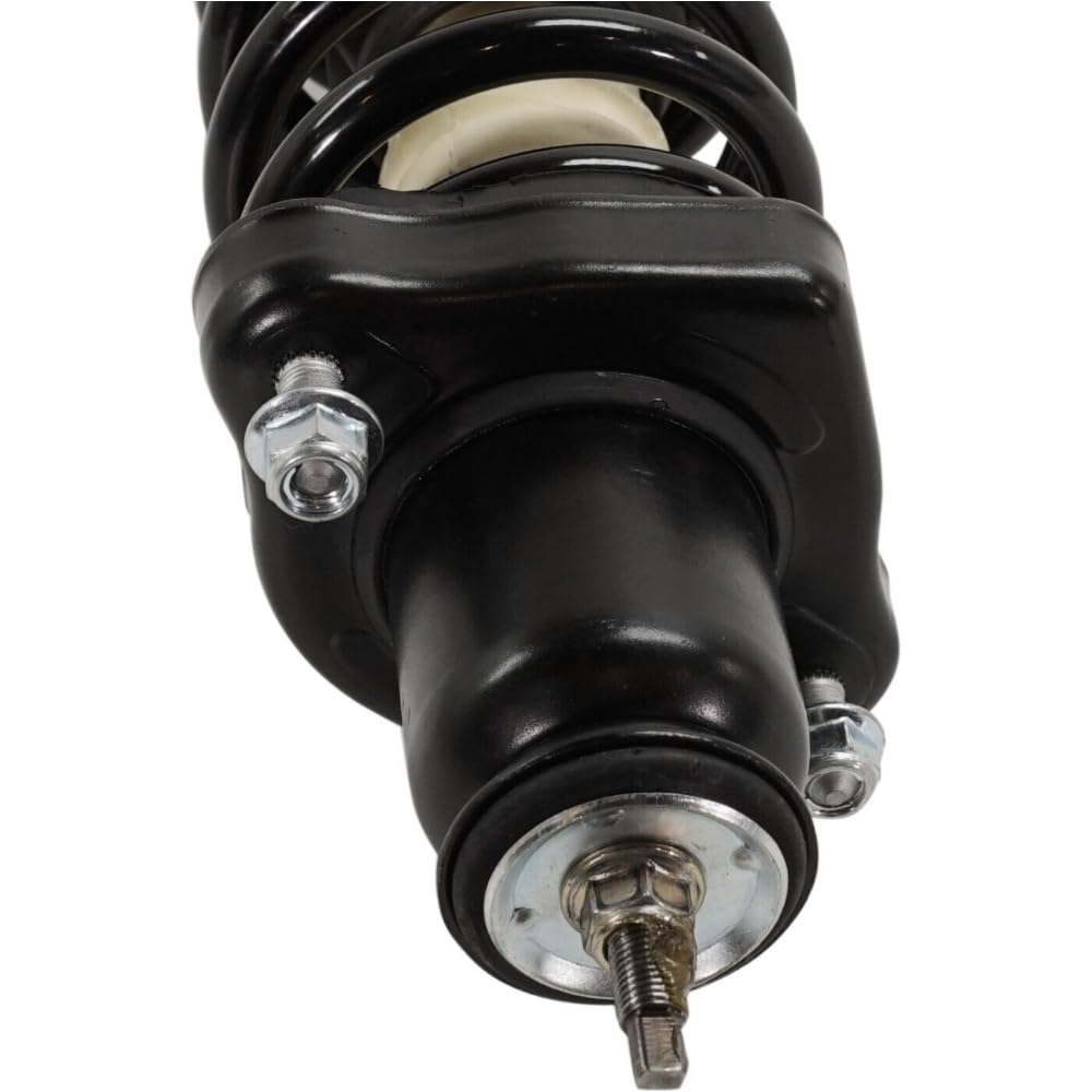 Amazon.com: DUST GLOW Suspension Shock Absorber and Strut and  