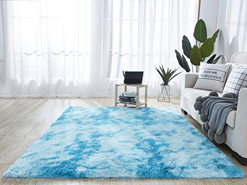 QUANHAO Alfombra de Felpa, Alfombra mullida, Alfombra Antideslizante para el hogar, Felpudo Cuadrado, Adecuado para la decoración de Salas de Estar y dormitorios (Azul, 80 x 120 cm)