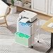 Sbanmao Letter/Legal Rolling File Cabinet, Rolling File Cart with 2 Drawers Filing Cabinet for Home Office, Hanging File Folders Organizer for Under Desk Storage, Mobile Printer Stand, White