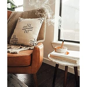 Bursera Palo Santo Sticks, Tree Planted with Every Order, 100% Natural, Ethical & Sustainable, 5-Pack Authentic Real Palo Santo Wood Incense Sticks from Peru for Aromatherapy, Smudging Bursera Palo Santo Sticks Tree Planted with Every Order 100 Natural Ethical Sustainable 5 Pack Authentic Real Palo Santo Wood Incense Sticks from Peru for Aromatherapy Smudging