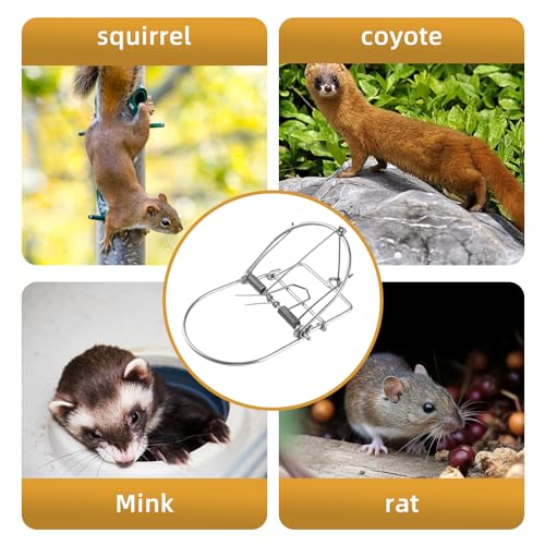 2 Pack of Small Live Animal Hunting Trap,Outdoor Hunting Tools Humane Animal Spring Traps, Catch Release Live Rat Traps Live Traps for Rat