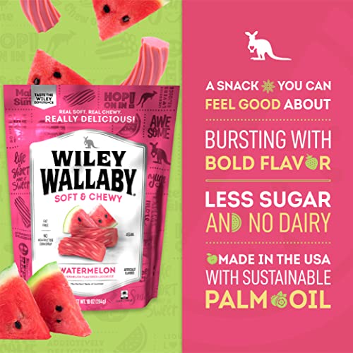 Wiley Wallaby Licorice 10 Ounce Classic Gourmet Soft & Chewy Australian Watermelon Licorice Candy Twists, 1 Pack #TOP2