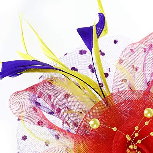 Image of DRESHOW Fascinators Hat Flower Mesh Ribbons Feathers on a Headband and a Clip Tea Party Headwear for Girls and Women