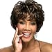 YX Brown Natural Hair Wig afro Women Synthetic Wigs Short Wigs for Black Women as Real Hair Wigs 32CM(Dark Brown )