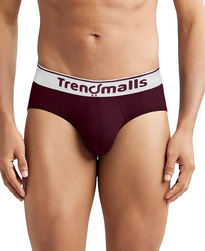 Image of TRENDMALLS Men's Birla Micromodal Regular Fit Solid Men Underwear Briefs with No Marks Waistband
